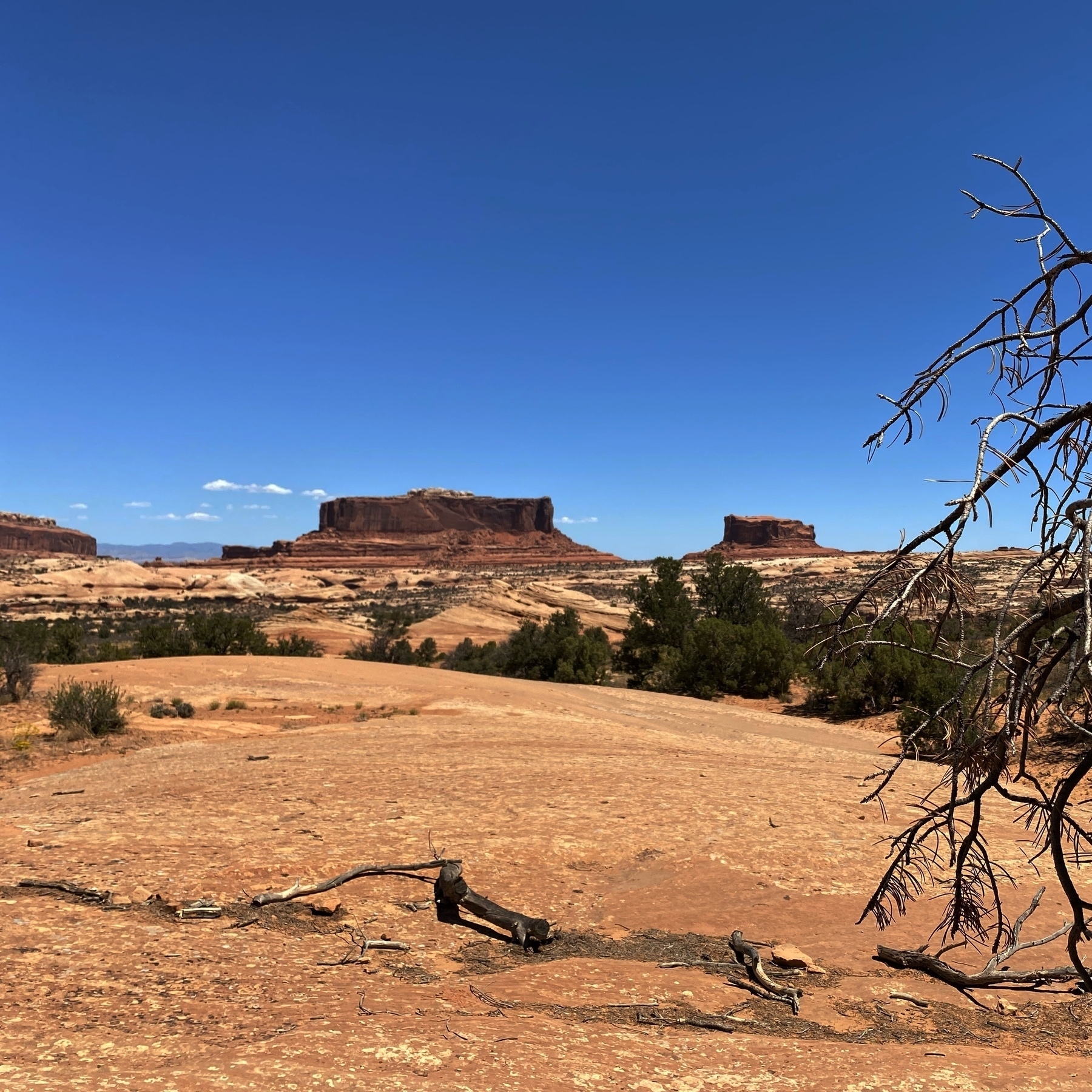 View at Navajo Rocks Trail. 